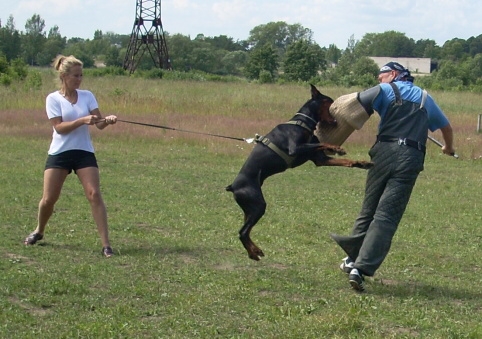 Training in Estonia 6/2007